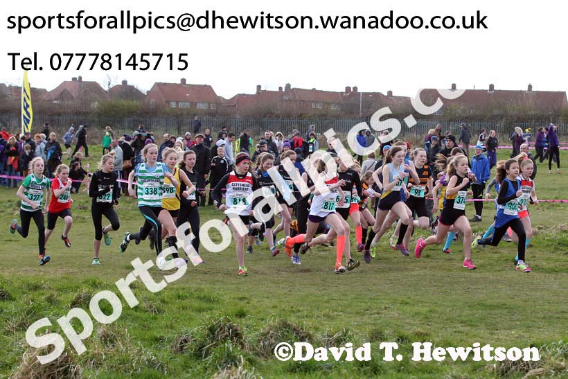 Under-13 girls NEHL Wrekenton, Gateshead. 2014 NEH, Wrekenton. Photo: David T. Hewitson/Sports for All Pics